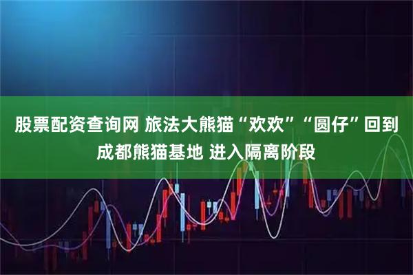 股票配资查询网 旅法大熊猫“欢欢”“圆仔”回到成都熊猫基地 进入隔离阶段